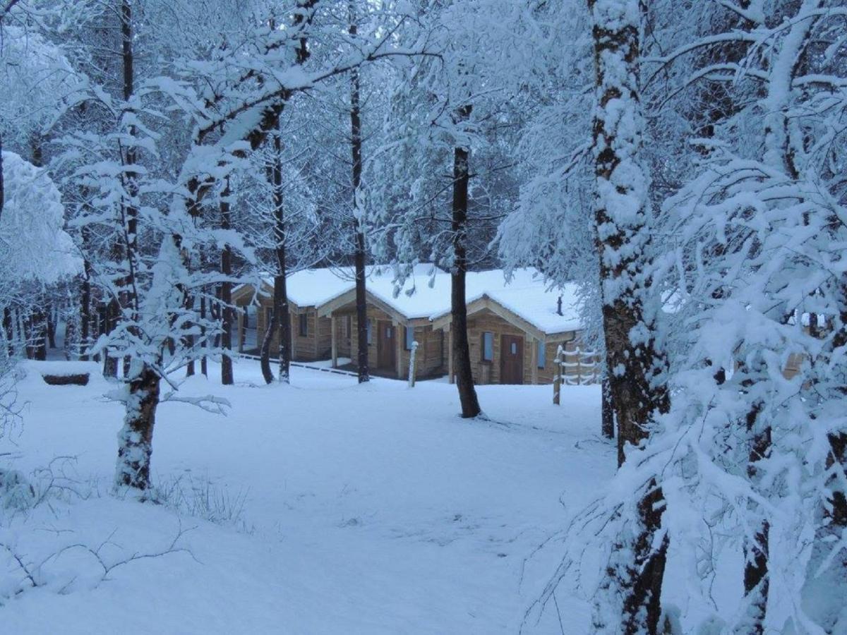 Wyldwood Lodge Cheadle  Exteriör bild