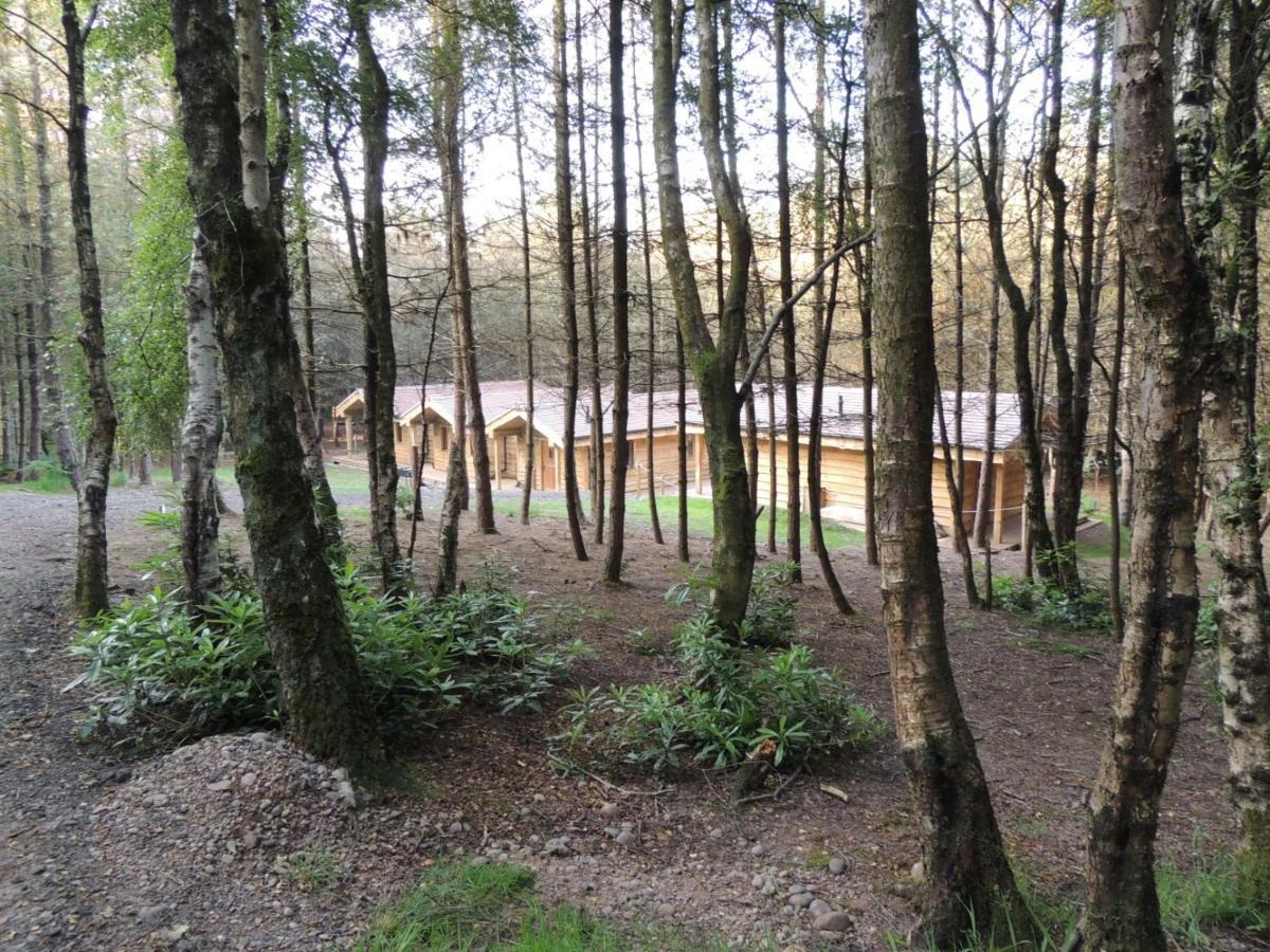 Wyldwood Lodge Cheadle  Exteriör bild