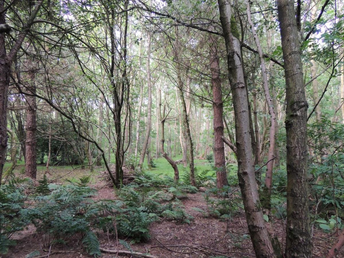 Wyldwood Lodge Cheadle  Exteriör bild